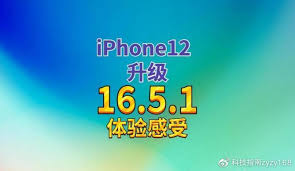 苹果iOS16.5关闭验证通道