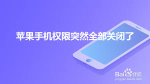 iPhone手机相机权限消失怎么办