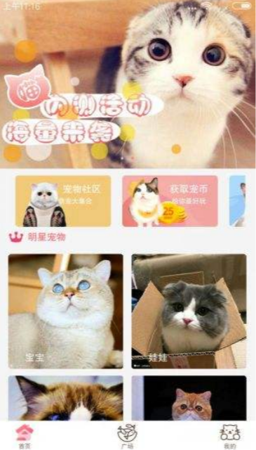 猫咪社区app旧版2