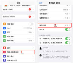 iPhone键盘旁白声音消失了怎么开启