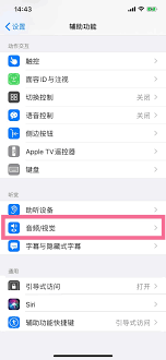 iPhone电话降噪与语音突显功能有何不同