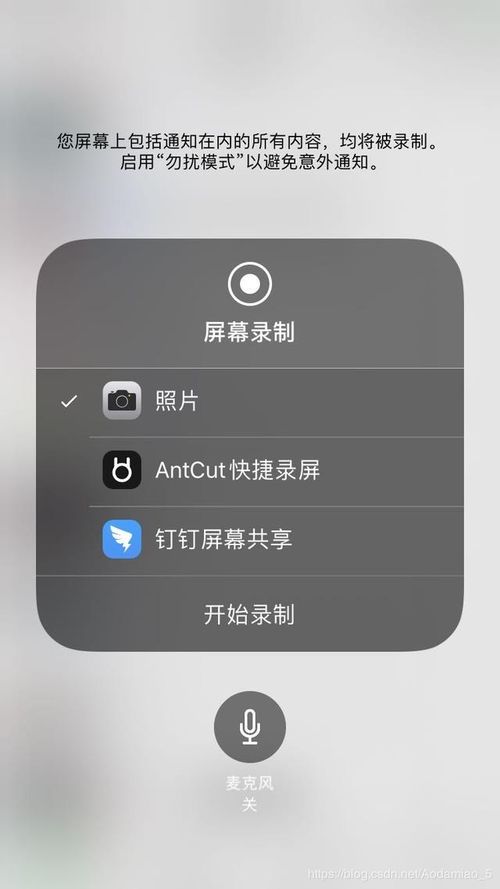 iPhone旁白功能已滚动页面的声音在哪开启