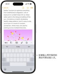 iPhone键盘旁白触感如何开启