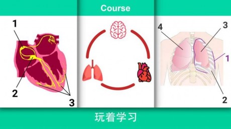 现实医疗模拟器1