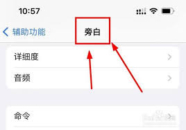 iPhone便捷访问旁白声音如何开启