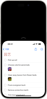 iPhone便捷访问旁白声音如何开启