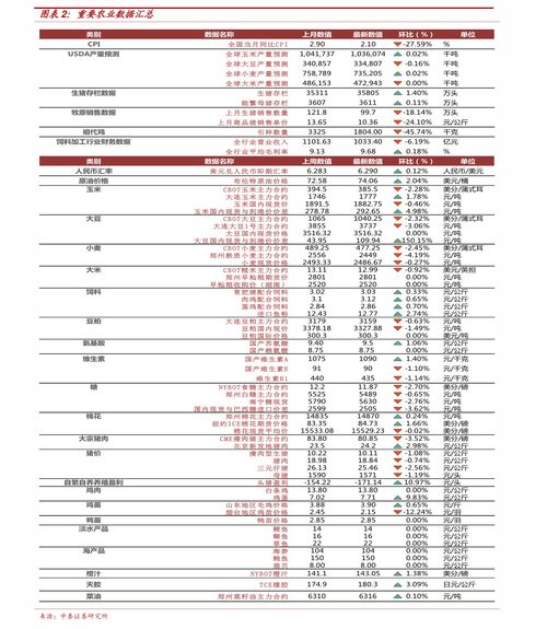 异世界慢生活vip价格表