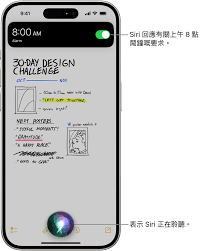 iPhone快速导览旁白声音设置位置