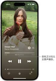 iPhone转子旁白声音开启指南