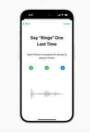 iPhone转子旁白声音开启指南