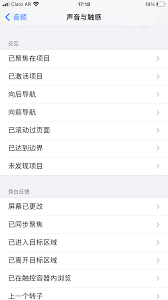 iPhone旁白触感开启教程