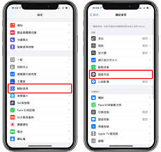 iPhone无目标的旁白声音开启教程