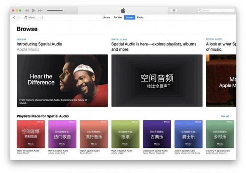 如何在Apple Music上启用空间音频