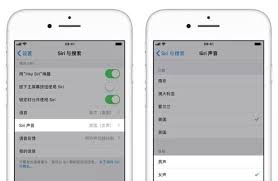 苹果手机如何更换Siri声音