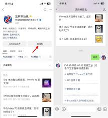 ios18.1降级指南