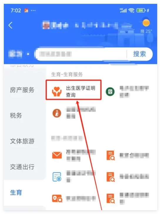 在支付宝里怎么找出生证明