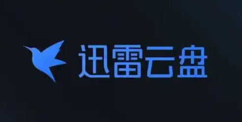 迅雷云盘怎么防止被检测