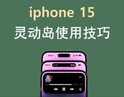 苹果iPhone15灵动岛不适配怎么解决