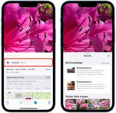 苹果看图查询功能如何使用