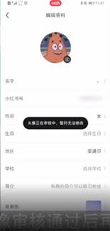 小红书专业号认证怎么更换头像