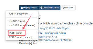 pdb文件格式介绍