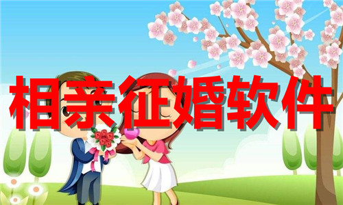 相亲征婚软件大全