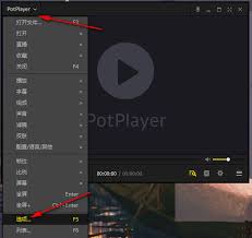 PotPlayer如何开启屏幕显示信息