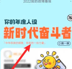 微博2025年度报告如何查看