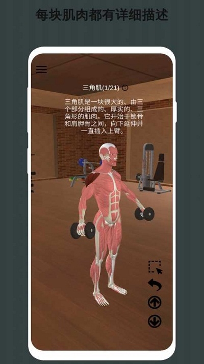 3D健身动画教程2