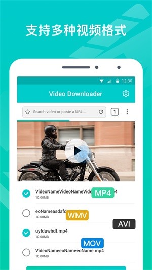 VideoDownloader2