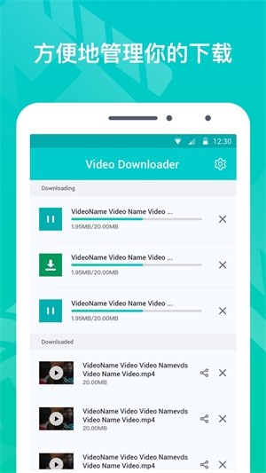 VideoDownloader3