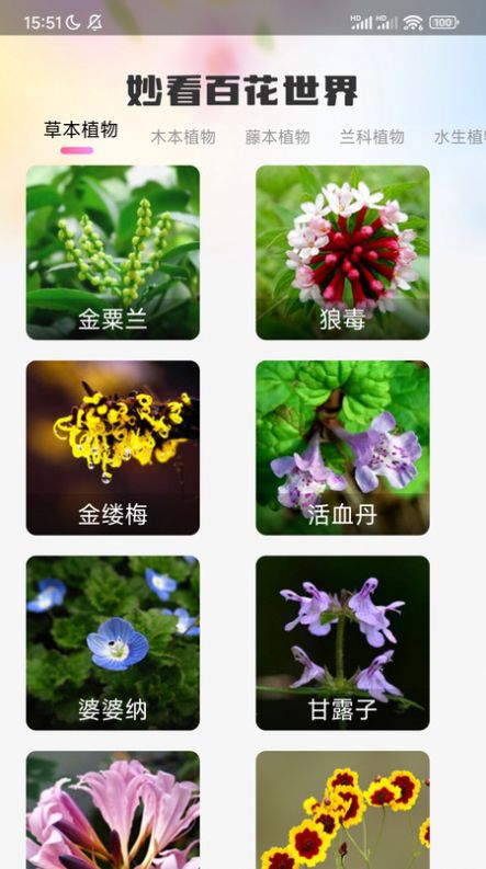 妙看百花2