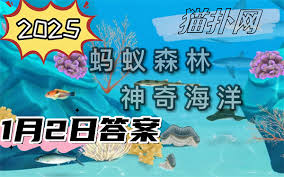 海洋动物种类盘点