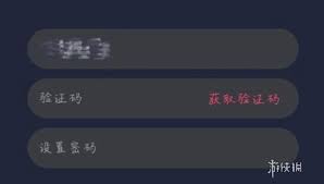 囧次元验证码发送失败怎么办