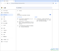 谷歌浏览器如何设置网站自动验证以避免机器人检测