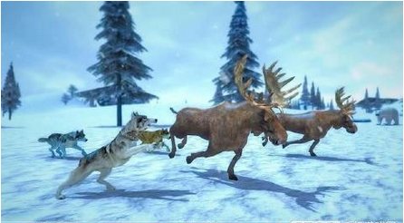 北极狼群3D(Arctic Wolf Sim 3D)手机版0