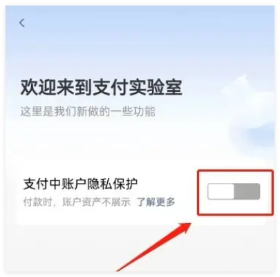 支付宝怎么解除隐私保护