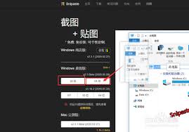 Snipaste下载方法详解