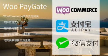 WooCommerce如何添加信用卡支付