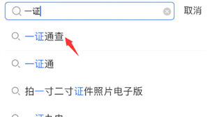 支付宝一证通查怎么查询