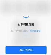 支付宝付款码隐藏