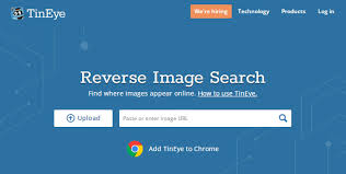 tineye在线识别网站最新网址