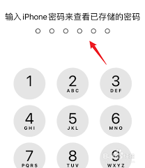 iphone手机短信验证码自动输入怎么设置的密码呢