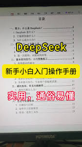 DeepSeek如何作为计算机使用