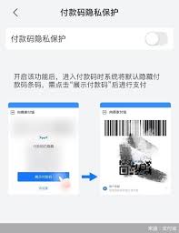 开启付款码保护是什么意思