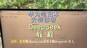 deepseek华为用不了