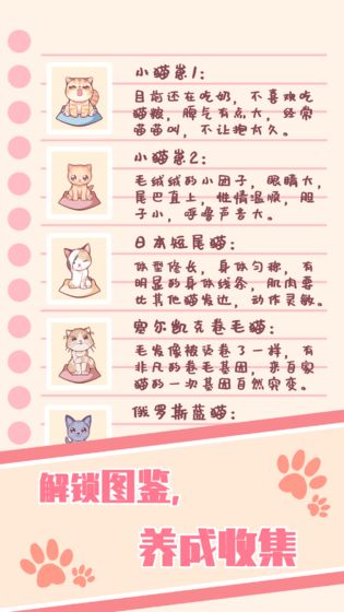 猫咪养成云撸猫0