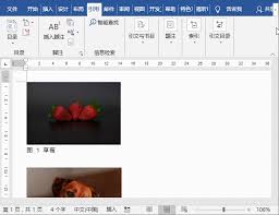 word如何批量为多张图片添加序号