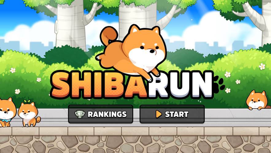 Shiba Run2