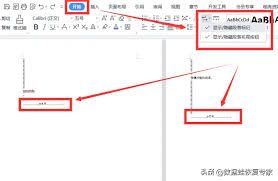 Word文档分页符如何删除